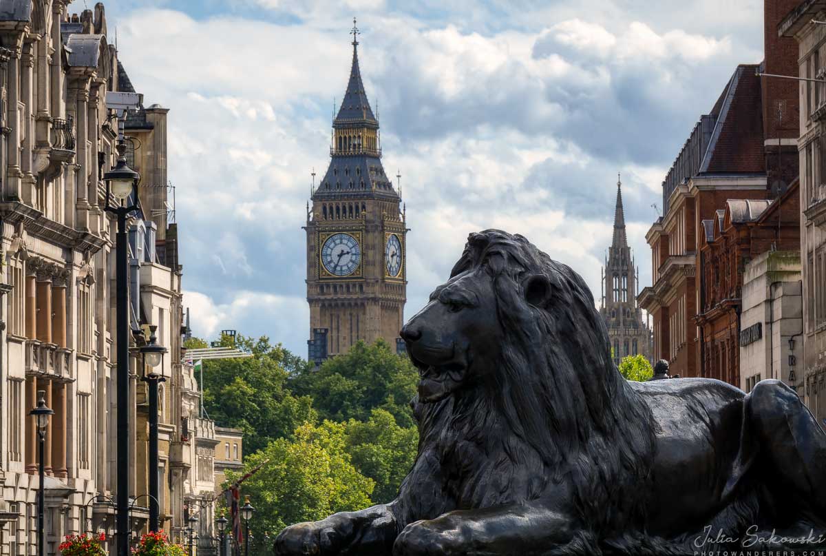 Lev em Trafalgar Square, Londres |  Leão na Trafalgar Square, Londres
