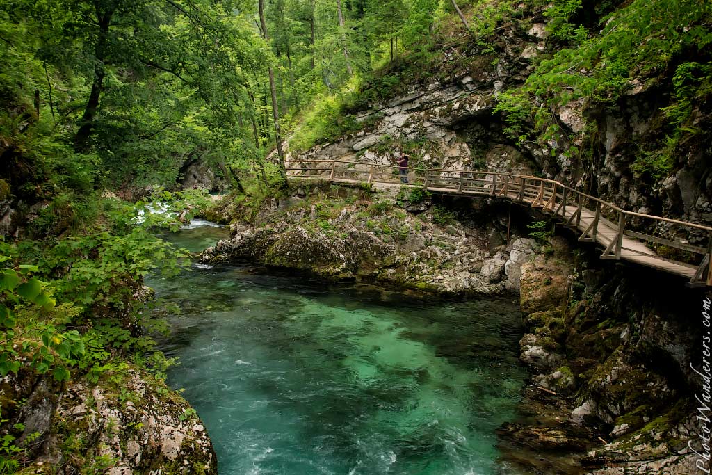 Ущелье Винтгар, Словения | Vintgar Gorge, Slovenia