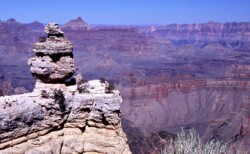 Сидящий Гусь (Sitting Duck)