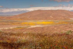 Вид на долину с Китанемук Висты (Kitanemuk Vista) Вид на долину с Китанемук Висты (Kitanemuk Vista)