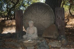 Будда под деревом Бодхи