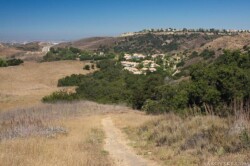 На священной тропе