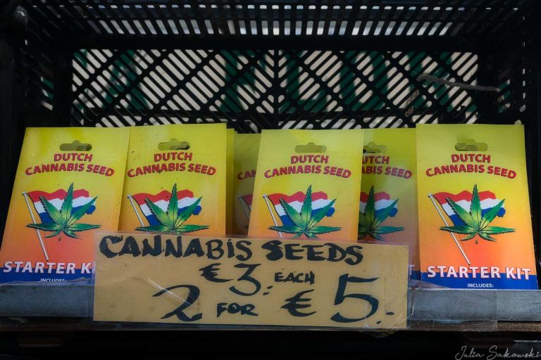 Семена марихуаны амстердам программа тор браузер скачать hudra