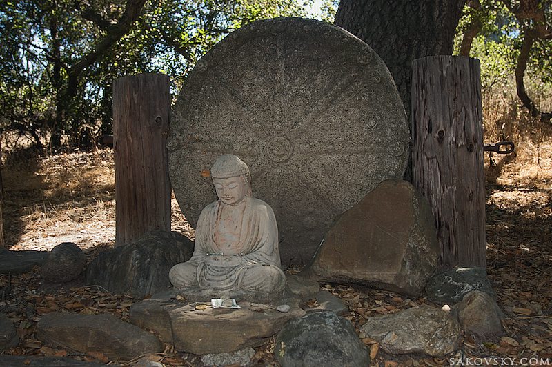 Будда под деревом Бодхи