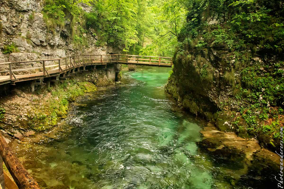 Ущелье Винтгар, Словения | Vintgar Gorge, Slovenia